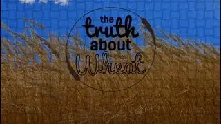 The Truth About Wheat - Oklahoma Wheat Commission