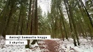 Antroji Samuelio knyga | 3 skyrius