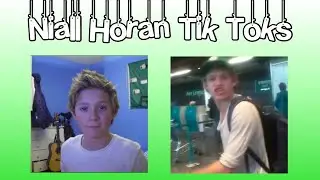 Niall Horan Tik Toks