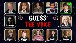 Guess The Character By Their Voice | Harry Potter Movie Edition