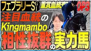 【フェブラリーS2026】2026年最初のGⅠと相性抜群の馬はこれだ！注目血統Kingmambo内包馬が活躍(坂上明大の重賞血統査定)《東スポ競馬》