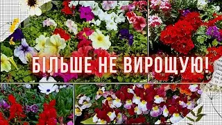 Квіти, від вирощування яких відмовилась з різних причин. Яких квітів не буде в цьому сезоні