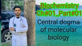 Central Dogma of molecular biology(Biochemistry_Ch#01_Part#01)