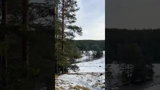 River View Moments ❄️ #snow #winter #river #sumava #walkingvideo #kremelna