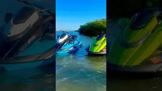 Yamaha FX SVHO & FX Cruiser SVHO WaveRunners by the Mangroves @tommytsadventures