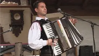 Ich hör so gern Harmonika