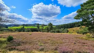 Wanderung : Traumpfad 