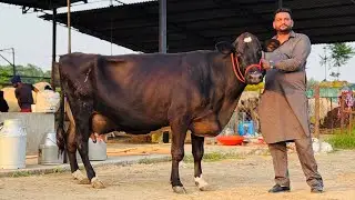 Malwa Farm