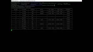Run Benchmark Tool on Raspberry Pi Zero W