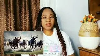 cow chasing you in the dream/ spiritual meaning