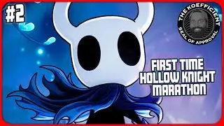 [Hollow Knight] I am Jonathan Knight  - Hollow Knight Marathon