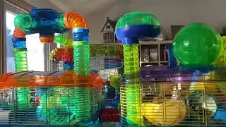 Mousetopia update