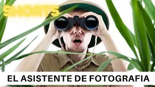 🕷TARANTULAS en el AMAZONAS de PERU 🕸 HUMOR 🕸 #shorts #corto 🕷