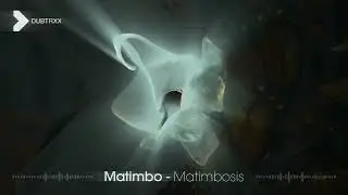 Matimbo - Matimbosis (Electronica / Pop | DUBTRXX)