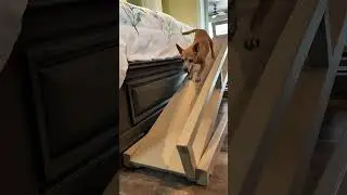 Bedside Dog Ramp - Custom Built