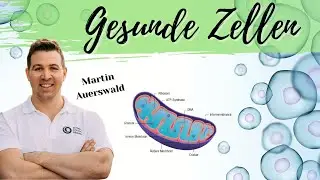 Tipps f&uuml;r gesunde Zellen & Mitochondrien. Martin Auerswald