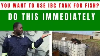 Simplified Way of Cleaning and Treating The  IBC Tanks Before Using for Fish Farming