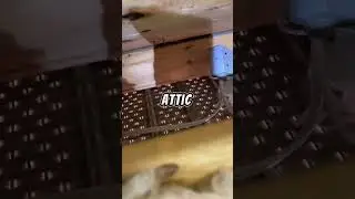 Attic Baffles Are Game Changers!