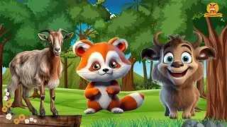 Fun Moments of Farm Animals: Goat, Red panda, Donkey, Buffalo, Bison &ndash; Animal Video