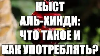 КЫСТ АЛЬ ХИНДИ ПОЛЬЗА И ВРЕД. ЛЕЧЕНИЕ И ПРОФИЛАКТИКА МНОГИХ БОЛЕЗНЕЙ.