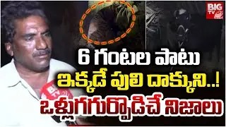 6 గంటల పాటు ఇక్కడే పులి దాక్కుని..! | Operation Tiger | Kurmapuram | BIG TV