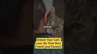 Playmate or Parent? How to Be the Best for Your Cat! #amazing #facts #cat #catlover #didyouknow