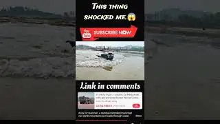 🚨 