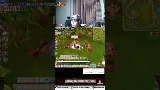 [NEWBIE GUIDE] BASIC FARMING BERSERKER SEAL EMPEROR ~ #sealemperor #atang #atangyt #sealonline