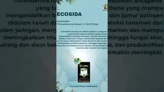 Eco Sida adalah pengendali hama dan penyakit pada tanaman berbasis mikro organisme