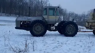 When the Beast is a Beauty