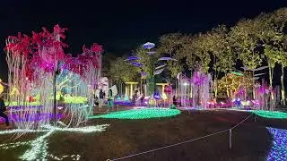Charming Flower Festival ,Teil 2 #chiangmai #flowers #blumenliebe #lightshow 