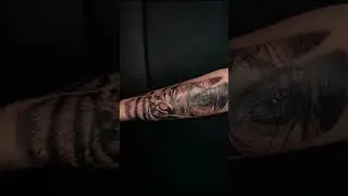 Eye Of The Tiger 🐅 | Tattoo
