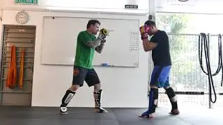Crazy Monkey Defense
