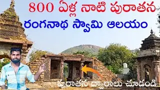 800 ఏళ్ళ నాటి  పెద్దపల్లి లోని పురాతన  ఆలయం || Sri Ranganathaswamy Temple, Peddapalli || Alivihari