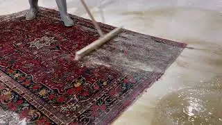 Oriental rug washing