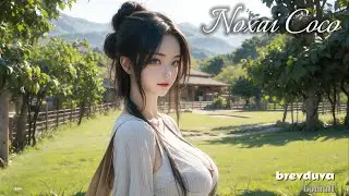 Noxai&rsquo;s Pick: 
