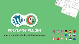 Polylang Plugin | Step by step integration of WordPress Polylang Plugin in your site -2020