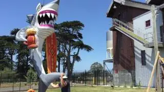 Shark
