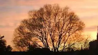 Lilac Season - Jeff Buckley (?)
