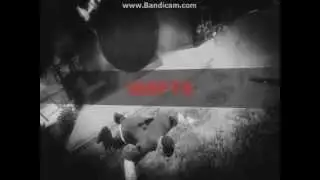 GTA5 LOL moment 1#