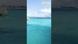 🏖️Flying beast Instagram story | Flying beast fanpage | gaurav taneja | rashbhari | Ritu rathee
