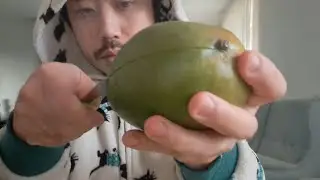 ASMR EATING SOUNDS - MANGO (NO TALKING)