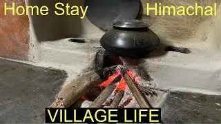 Home Stay / Himachal Village Life / Mountain Village Life / Travel Destination Kangra Himachal