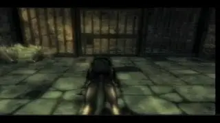 Twilight Princess - How To Exit The Sewer As Wolf Link