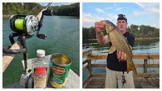 Last Minute Carp Smith Mountain Lake  plus Drone Footage