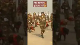 Army dog squad marching 😳🐕&zwj;🦺🦮🐕-আর্মির সাথে কুকুরের মার্চ#Shorts#army#armydog#armywhatsappstatus