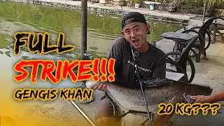 UTECATE FUN - FULL STRIKE GENGIS KHAN MONSTER!!! #utecate #utecatefishingtackle #fishingforeveryone