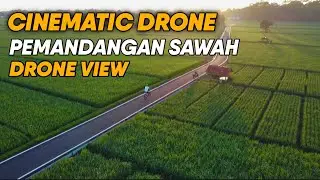DJI MINI 2 SE CINEMATIC SAWAH DI PAGI HARI