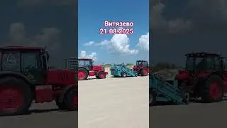 Сеем, сеем, посеваем...
