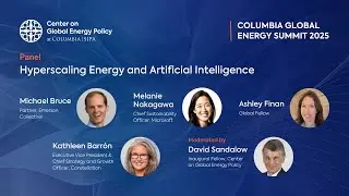 Panel | Hyperscaling Energy and Artificial Intelligence